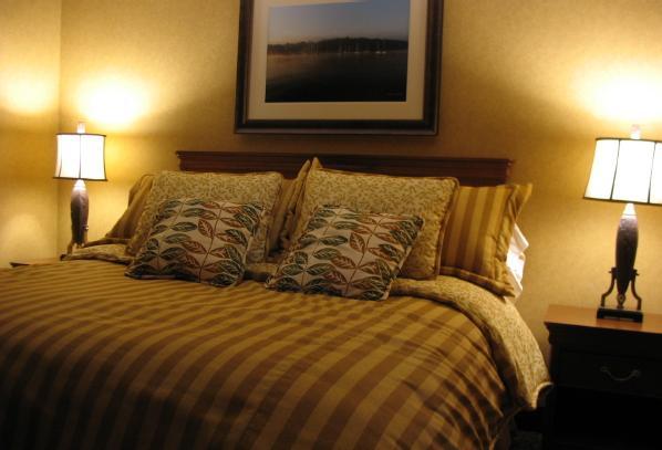 Wisp Resort Hotel And Conference Center McHenry Εξωτερικό φωτογραφία