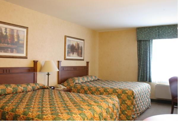 Wisp Resort Hotel And Conference Center McHenry Δωμάτιο φωτογραφία